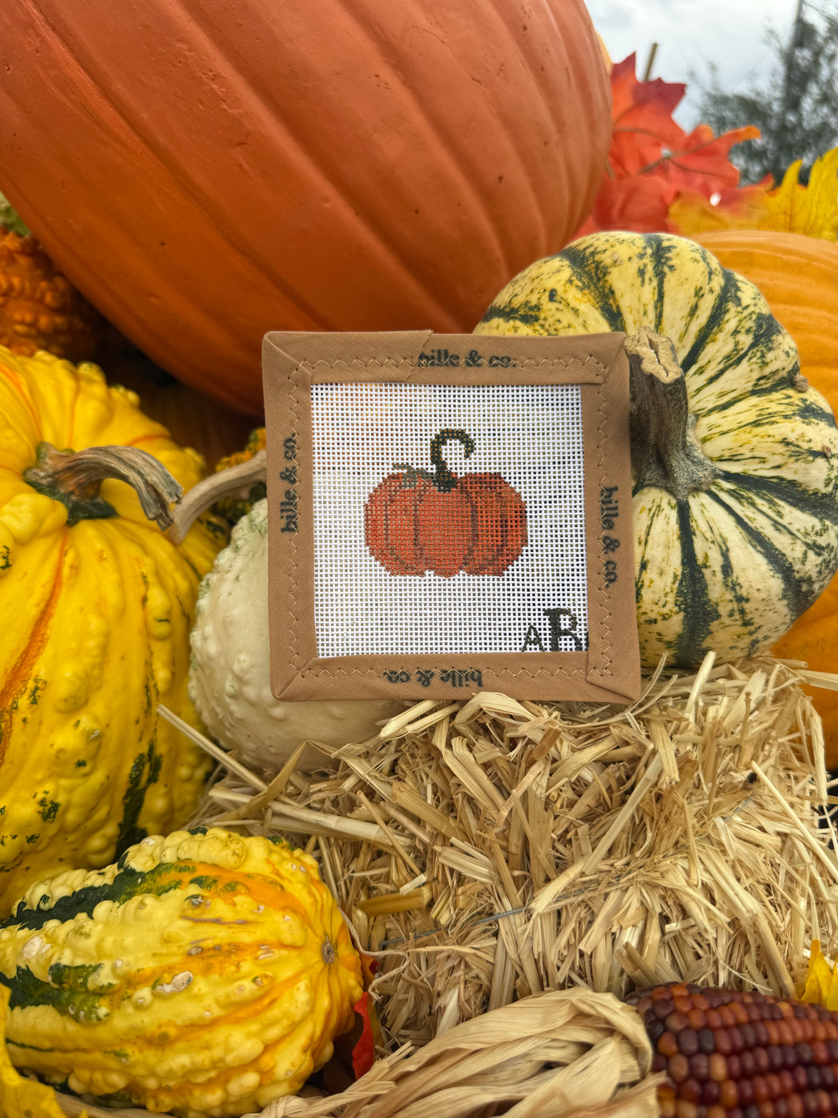 Pumpkin Pocket Project | BIL-PP02
